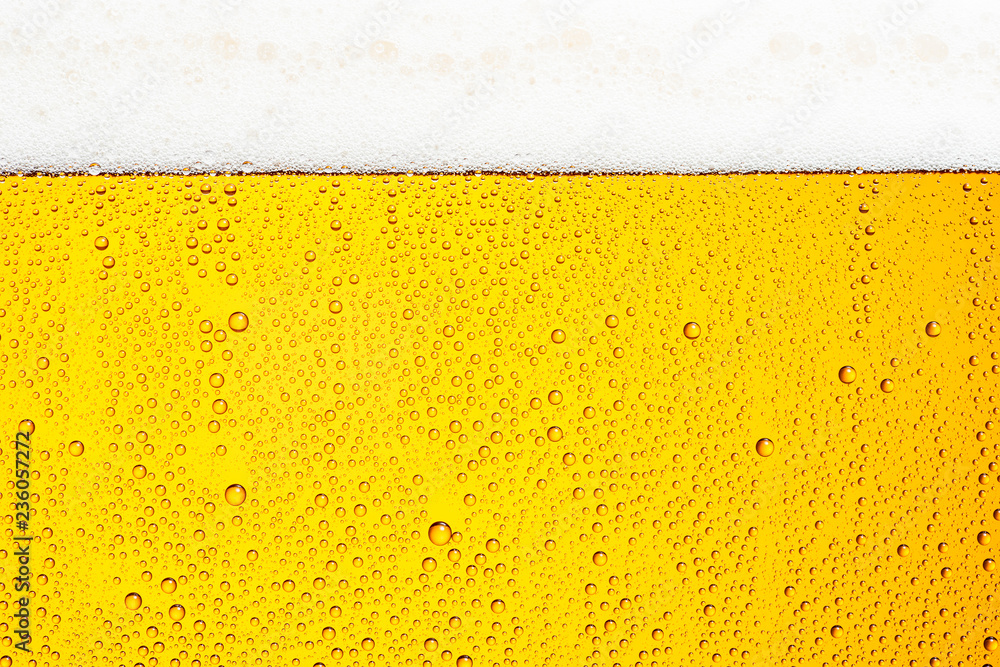 生ビールのイメージ 生ビールのイメージ