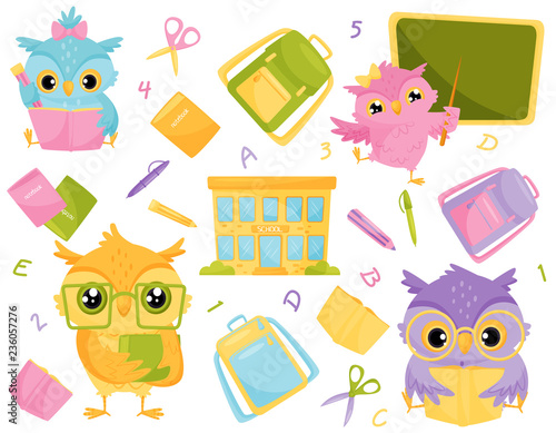 Cute wise owls and school supplies, school education and knowledge concept vector Illustration