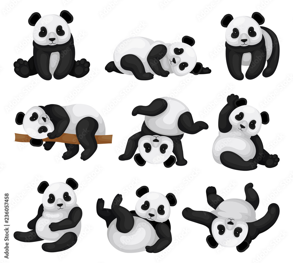 Flat vector set of adorable panda in different poses. Funny bamboo bear. Exotic animal Flat vector set of adorable panda in different poses. Funny bamboo bear. Exotic animal