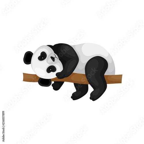 Adorable little panda lying on brown branch. Tropical animal. Black and white bamboo bear. Flat vector icon