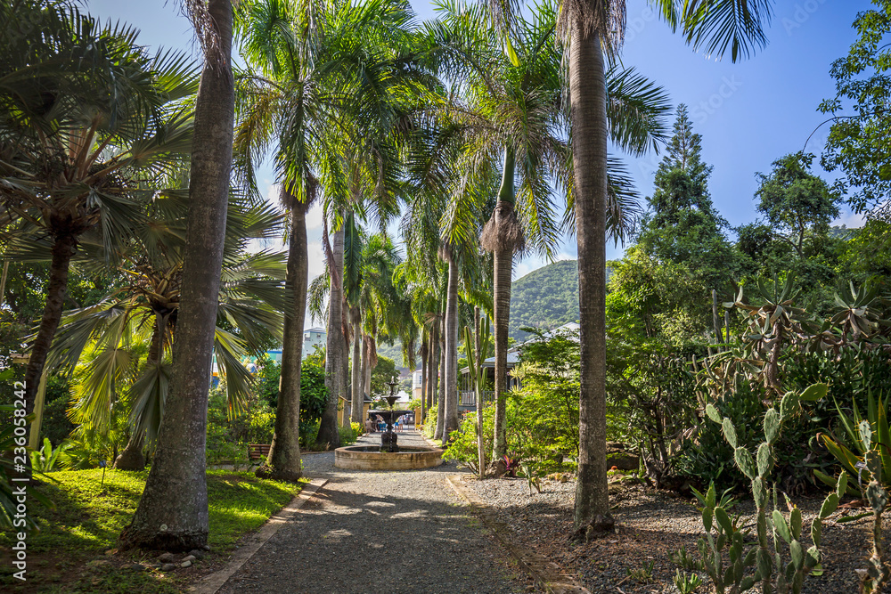 J.R. O'Neal Botanic Garden. Road Town, Tortola J.R. O'Neal Botanic Garden. Road Town, Tortola
