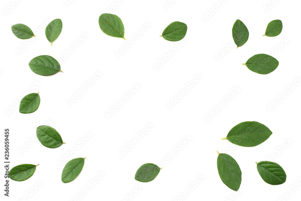 red berries with green leaves isolated on white background. top view red berries with green leaves isolated on white background. top view