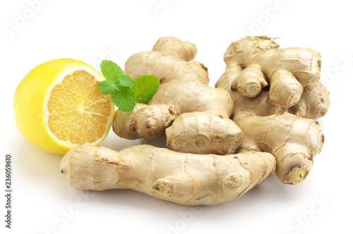 Ginger roots with lemon and mint leaves