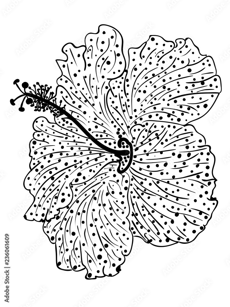 Hibiscus flower design Hibiscus flower design