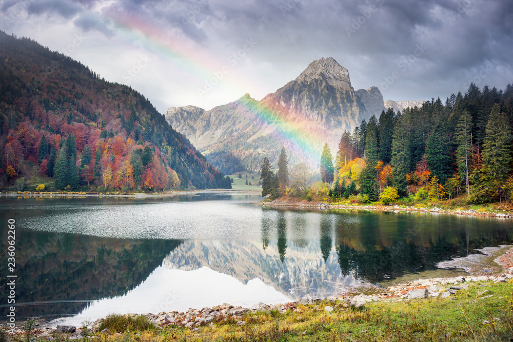 Lake Obersee autumn morning - obrazy, fototapety, plakaty 