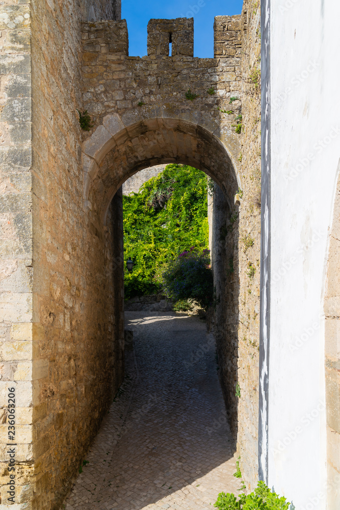 Fototapeta premium Cozy narrow streets of old town Obidos, Portugal