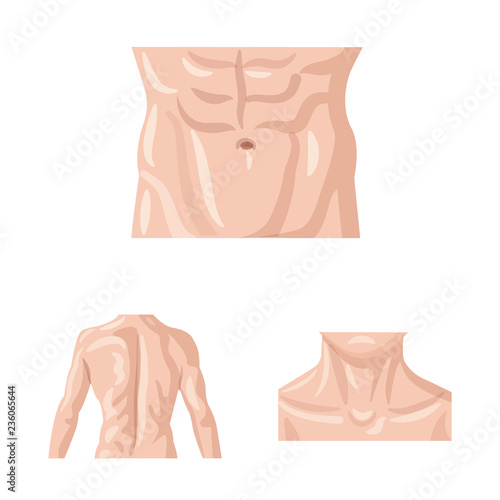 Vector design of human and part icon. Collection of human and woman vector icon for stock.