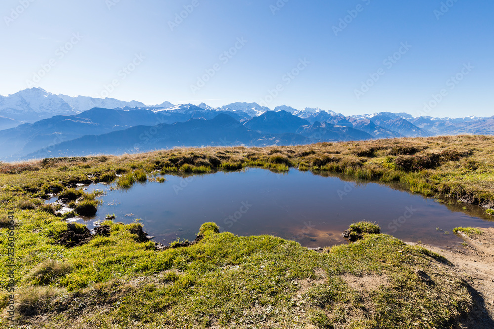Autumn landscape on the Niederhorn with a pond in the foreground and the Alps in the background on a beautiful autumn day in Switzerland