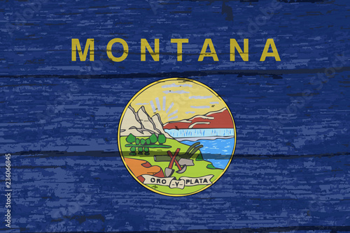 Montana State Flag On Old Timber