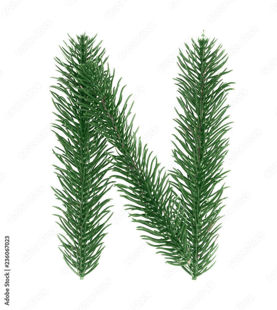 Letter N, English alphabet, collected from Christmas tree branches, green fir. Isolated on white background. Concept: ABC, design, logo, title, text, word
