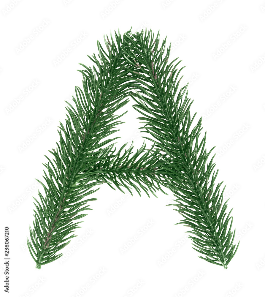 Letter A, English alphabet, collected from Christmas tree branches, green fir. Isolated on white background. Concept: ABC, design, logo, title, text, word