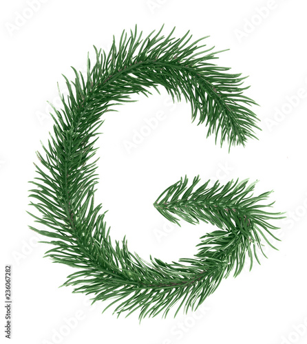 Letter G, English alphabet, collected from Christmas tree branches, green fir. Isolated on white background. Concept: ABC, design, logo, title, text, word