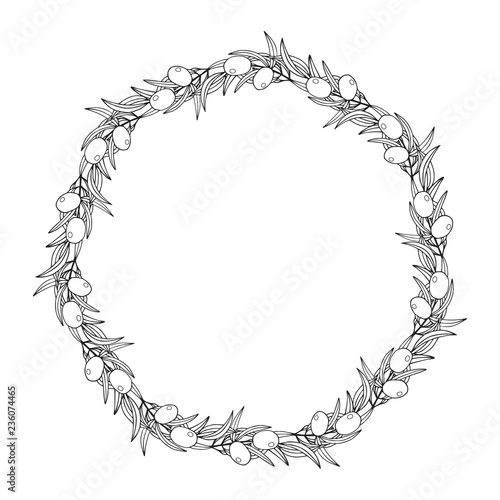 Hand drawn vintage olive laurel wreath. Branch invitation frame. Botanical border. Vector isolated illustration.