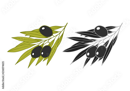 Hand drawn vintage green olive branch set. Ornate element for extra virgin Greek oil label. Vector isolated illustration. 
