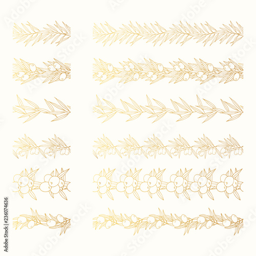 Golden Greek olive branch brushes set. Page decorative gold divider. Extra virgin oil label design frame. Vector isolated illustration.