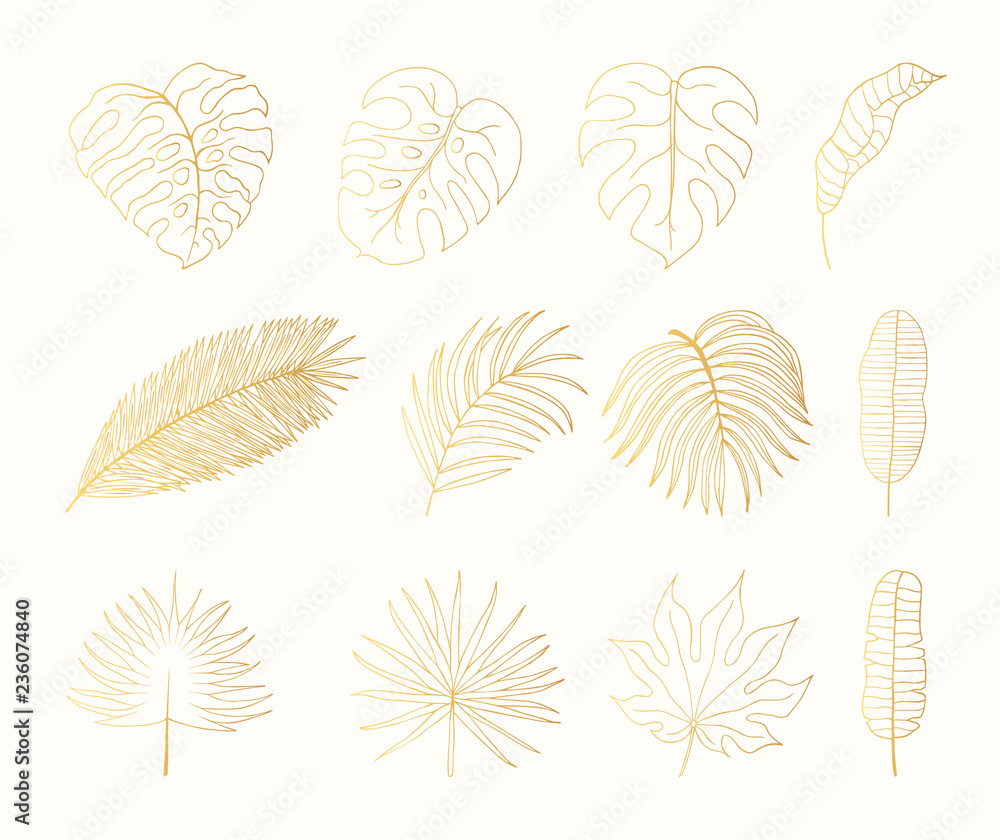 Hand drawn golden tropical rainforest leaves. Aralia, monstera, banana ...