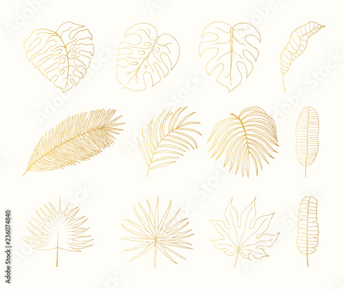 Hand drawn golden tropical rainforest leaves. Aralia, monstera, banana, palm leaf botanical gold leaf. Vector isolated illustration.