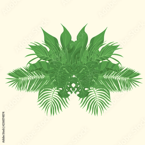 Hand drawn tropical leaves. Aralia  monstera  banana  coconut leaf botanical background. Vector isolated illustration.