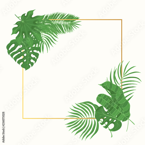Hand drawn tropical leaves wedding golden frame. Aralia, monstera, banana, coconut leaf gold invitation card border. Vector isolated illustration.