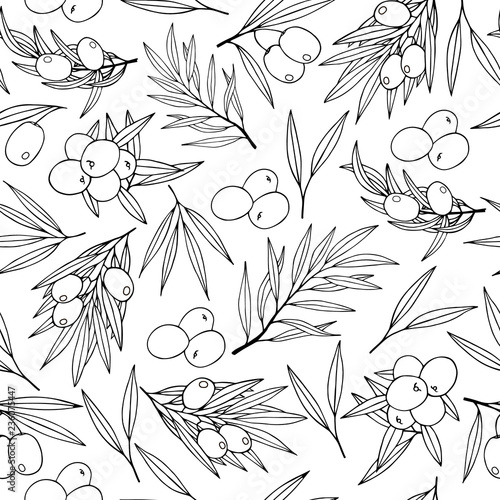 Hand drawn olive branch seamless pattern. Oliva wallpaper background. Vector isolated illustration.