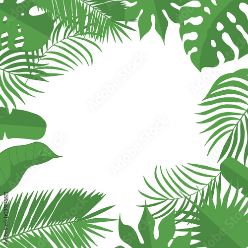 Hand drawn tropical leaves weddiing frame. Aralia  monstera  banana  palm leaf border for invitation card. Vector isolated illustration.