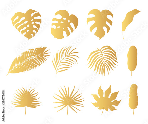 Hand drawn tropical rainforest golden leaves. Aralia, monstera, banana, palm  gold leaf. Vector isolated illustration.