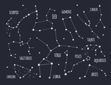 Hand drawn zodiac constellations. Graphic vector set. Dark background. All elements are isolated