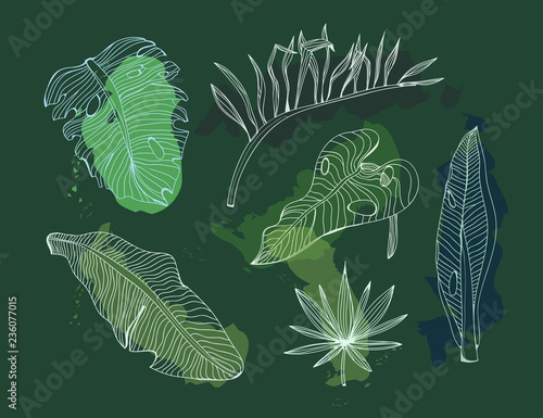 Hand drawn colored tropical leaves. Graphic vector set. Dark green background. All elements are isolated