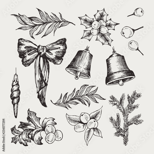 Set of isolated hand drawn monochrome christmas elements with bow, ribbons, conifers, spruce, bell, mistletoe, Christmas toys, berries, eucalyptus, winter ball vector illustration