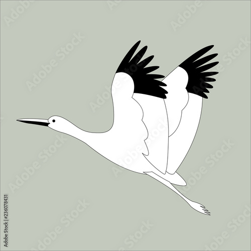 stork bird flying, vector illustration 