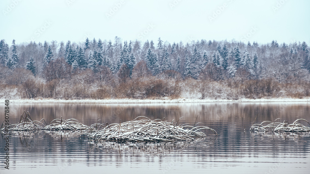 Fototapeta premium Fog and frost on the autumn river.