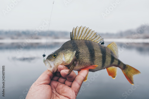Fisherman holds a fish in his hand.