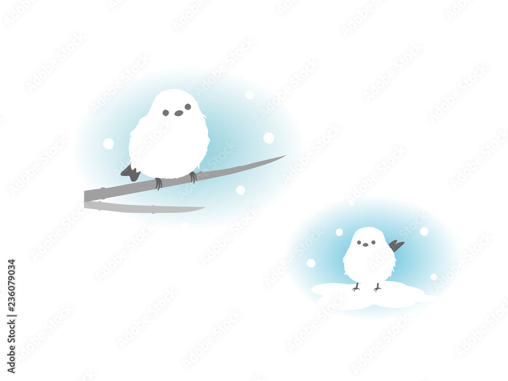 かわいいシマエナガのイラスト Stock Vector Adobe Stock かわいいシマエナガのイラスト Stock Vector Adobe Stock