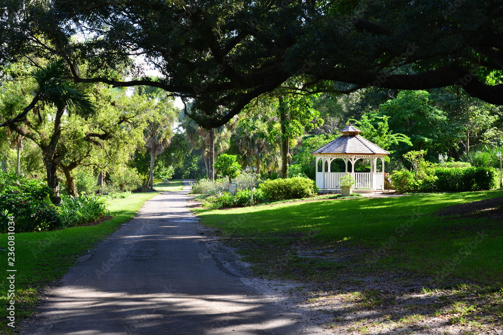 Park land in Florida, America Park land in Florida, America