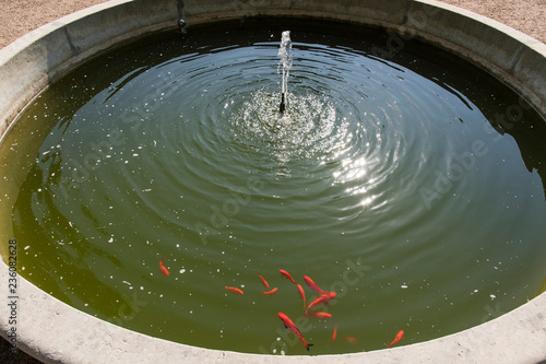 Small fountain circular with fish.