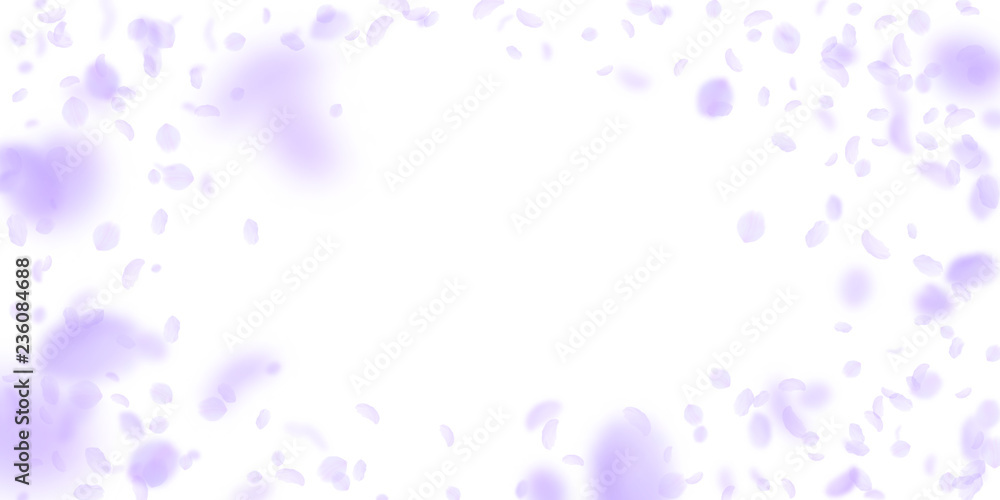 Violet flower petals falling down. Modern romantic