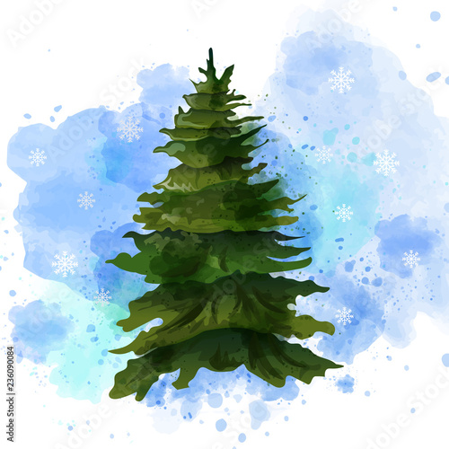 Fir tree Vector watercolor isolated on white. Template layout green Christmas...