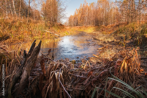 A small river covered with the first ice in the autumn yellow forest.
