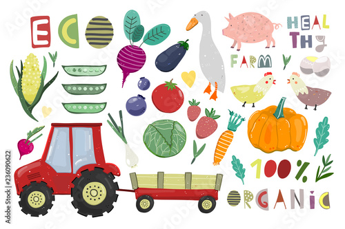 Big farm set. Cartoon vector collection. All elements are isolated