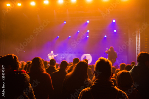 Concert crowd attending a concert, © kovop58
