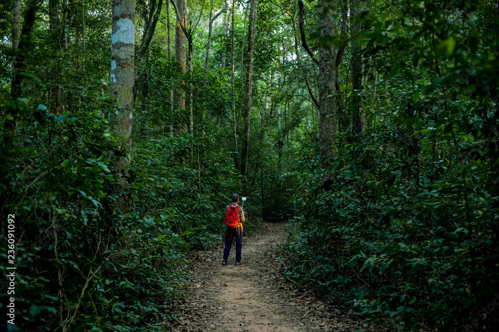 Obraz premium nature, jungle, man, adventure