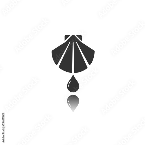 Baptism isolated flat icon with reflection