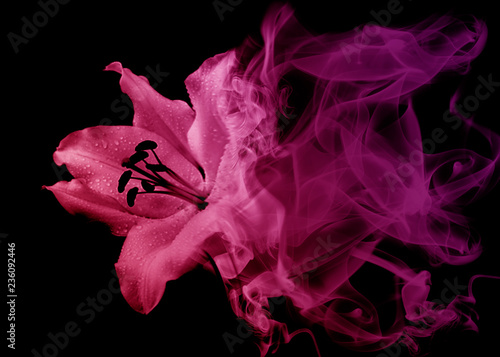 Beautiful lily flower from smoke