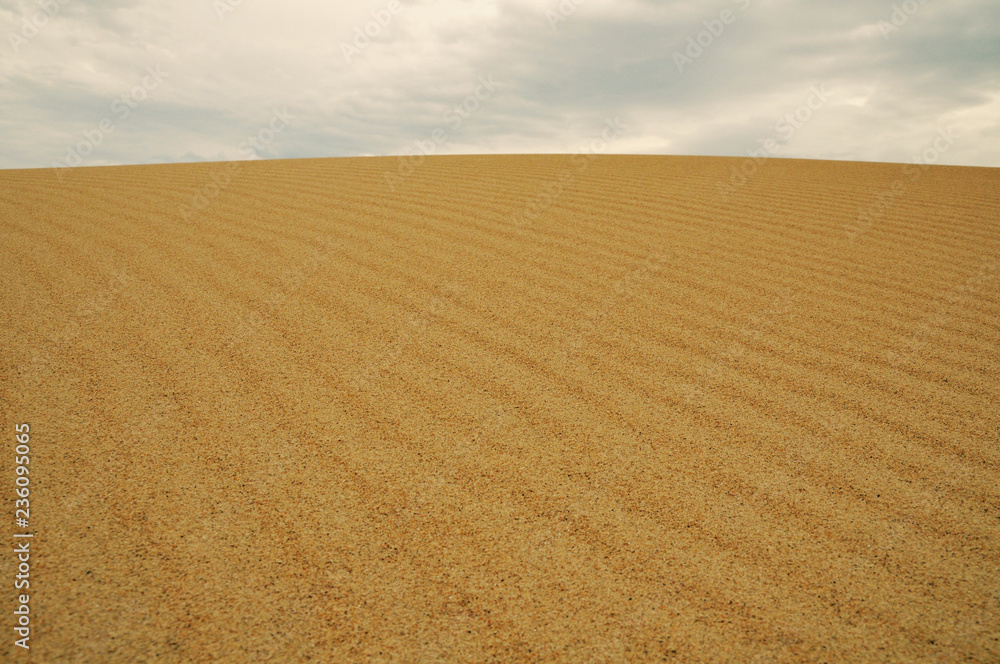 Naklejka premium Dunas de Liencres