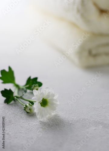 White flowers, white towels