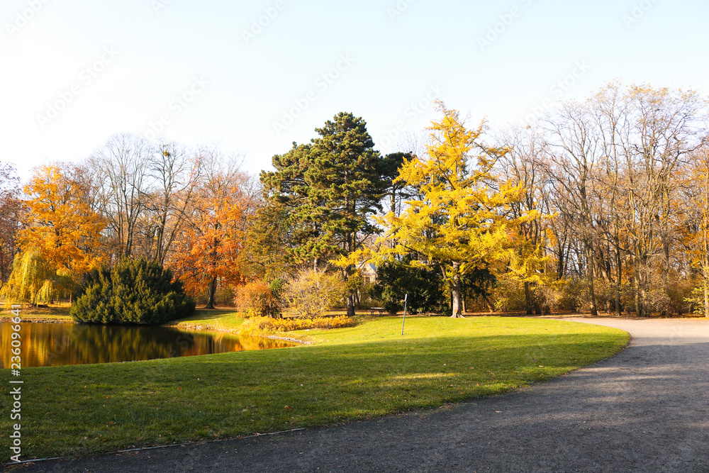 Pond in Poniatowski Park located in Lodz surrounded by colofrul trees in fall season. Beautiful autumn in Poland.