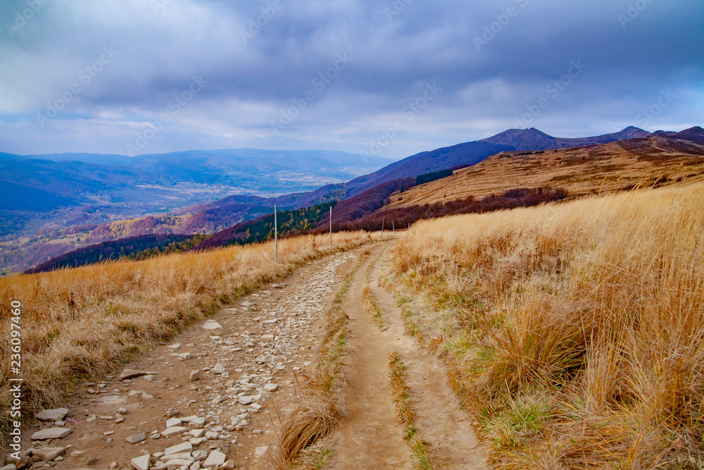 Fototapeta premium Landscape of autumnal peaks of the Carpathians.