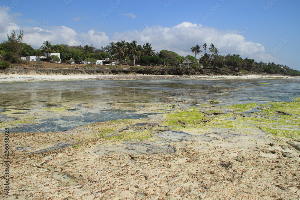 Low tide on Diani Beach, the coast of the Indian Ocean. Kenya, Africa