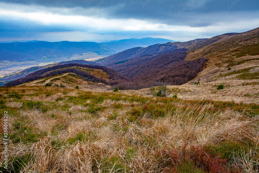 Obraz premium Landscape of autumnal peaks of the Carpathians.