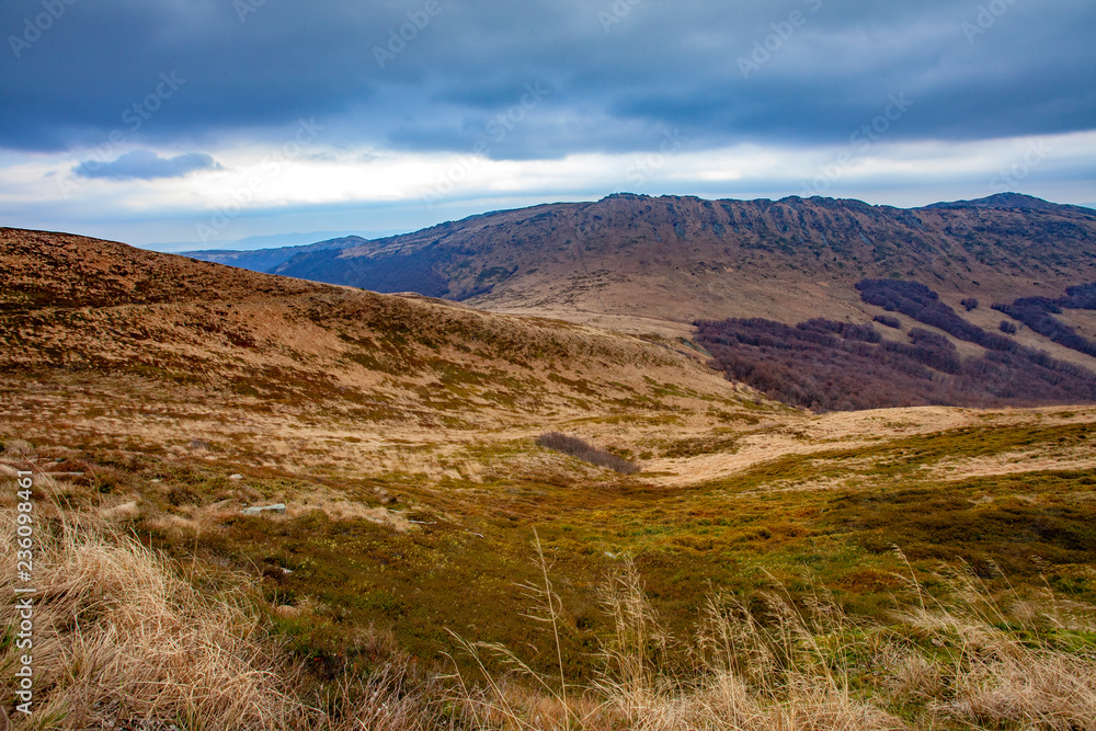 Obraz premium Landscape of autumnal peaks of the Carpathians.